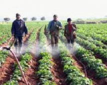 بسكرة: برمجة عمليتين لتحسين التموين بمياه الشرب والسقي الفلاحي بسيدي خالد