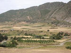 Les mokrani déportés en Nouvelle Calédonie