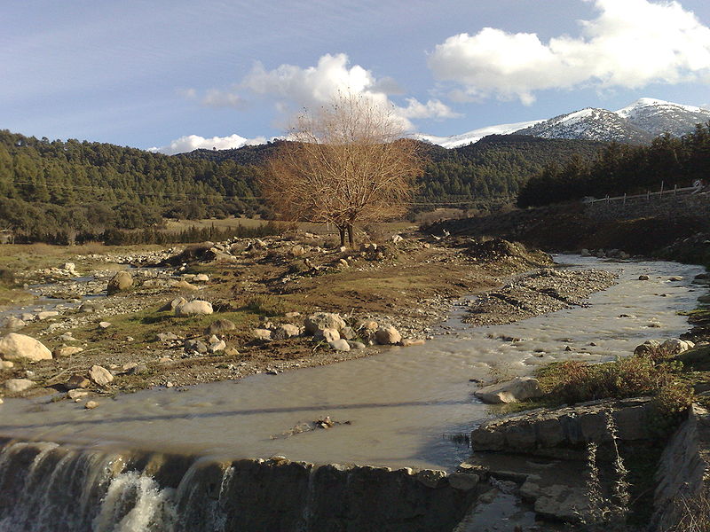 sad boulazazen---LA REVOLUTION ALGERIENNE