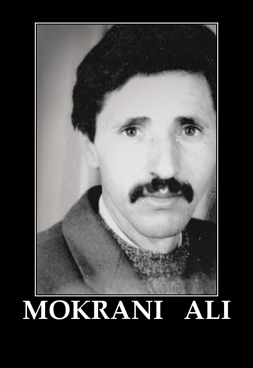 la révolte de la famille el MOKRANI