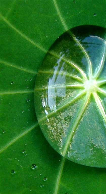 Un convoi de patriotes visé par une bombe à Lakhdaria