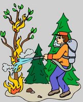 Risques d'incendies à Aïn Defla :  Le dispositif de lutte renforcé