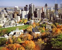 La coupe du monde vue d'ailleurs :  Une Canadienne à Alger