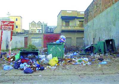 Invasion de moustiques et de rats