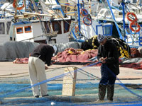 الصيد البحري/ إنخفاض محسوس في عدد المخالفات في 2013 بعين تموشنت