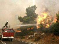 حرائق الغابات تتلف أكثر من 300 هكتار بتلمسان