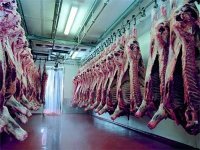 La fili're des viandes rouges bient't organis'e (Bena'ssa)