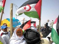 Sahara occidental : la Rapporteure du Conseil de l'Europe début octobre en Algérie pour une visite d'information