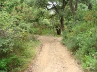 Premier tour de manivelle à Bejaïa du film 