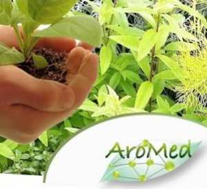 le 1er salon national des plantes aromatiques et médicinales,se tiendra du 01 au 03 Octobre 2013 au palais de la Culture de Bouira