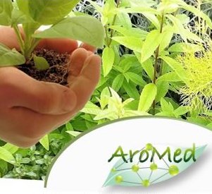 le 1er salon national des plantes aromatiques et médicinales,se tiendra du 01 au 03 Octobre 2013 au palais de la Culture de Bouira