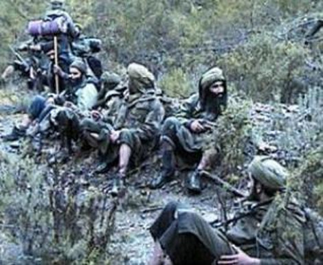 القضاء على إرهابيين بتيزي وزو و بومرداس