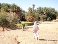 Rien à l'horizon Mouvement de criquets pèlerins