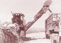 Agriculture : Timide début de la campagne moissons battages