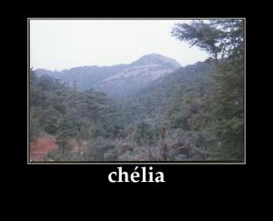 chélia---بيان جمعية العلماء المسلمين