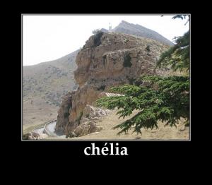 chélia- Le jour où Bourguiba a roulé Mitterrand dans la farine