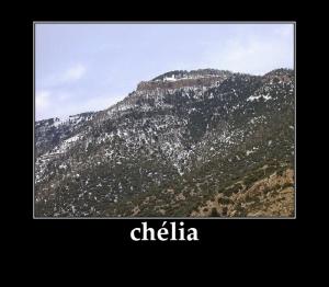 chélia-----------Le rôle de la femme durant la révolution Nationale