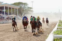 Complexe sportif de proximité au caroubier : L'OPLA en quête de nouveaux investissements