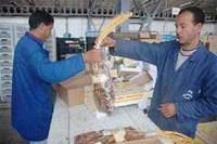 Exportation des produits agricoles : « Les normes européennes sont contraignantes »