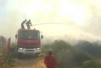 Mascara :  357 hectares de forêts  détruites par le feu en juin