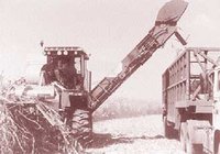 Agriculture : Timide début de la campagne moissons battages