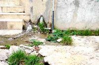 Insalubrité à Biskra : Les habitants de la cité Darnouni craignent le pire