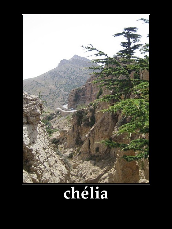 chélia---Guérilla contre armée traditionnelle