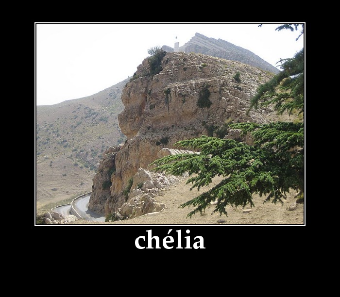 chélia- Le jour où Bourguiba a roulé Mitterrand dans la farine