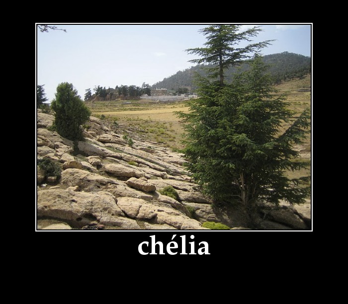 chélia- LE ROLE DE LA FEMME DURANT LA REVOLUTION