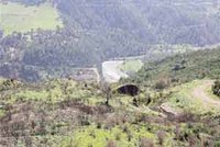 Randonnées forestières sur les hauteurs de Aïn Romana : Le retour des métiers de la forêt