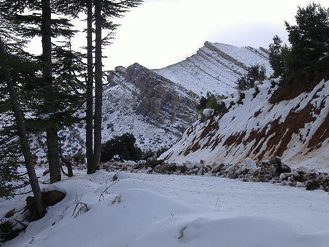 Les batailles les plus importantes dans la région de yabous