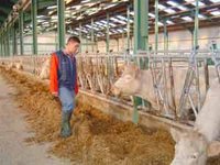 Blida : L'université à la rescousse de la filière lait