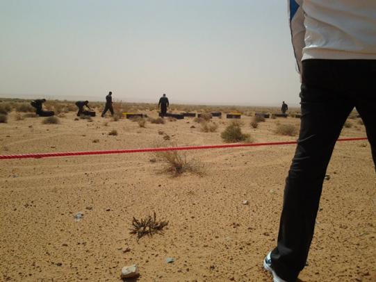 اطلاق ألف طائر حبار في البيض