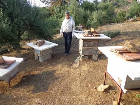 L'apiculture à l'honneur Commune de Bouzeguène (Tizi Ouzou)