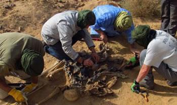 Deux fosses communes découvertes au Maroc LE POLISARIO ACCABLE LE ROYAUME