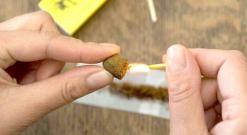 10 سنوات سجنا لكهل وشاب يروجان المخدرات باتنة