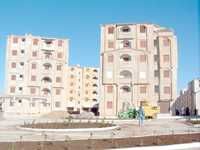 Réception d'adieu du wali d'Oran Des demandeuses de logement s'invitent