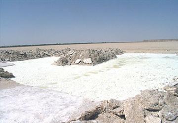 عمال مصنع الملح بالمغير يطالبون بلجنة تحقيق الإهمال يتسبب في مقتل زميلهم في الوادي