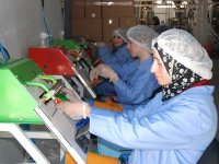 À la découverte du potentiel de jeunes chefs d'entreprise Semaine de l'entreprenariat mondial (GEW Algeria 2013)