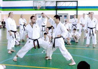 Omnisports/ Karat' Coupe du monde Avec 5 m'dailles d'or, l'Alg'rie class'e 2e