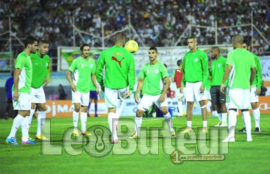 Halilhodzic analysera seul le jeu des Etalons