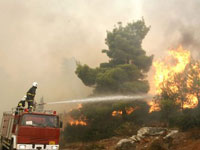 تبسة: الحرائق تأتي على 56 هكتارا من الغابات هذا الصيف