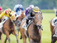 TOSCANE DE BULIERE, UNE CHANCE LOGIQUE Les courses à zemmouri