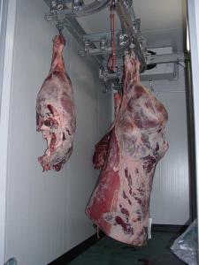 L'Algérie importera bien de la viande indienne