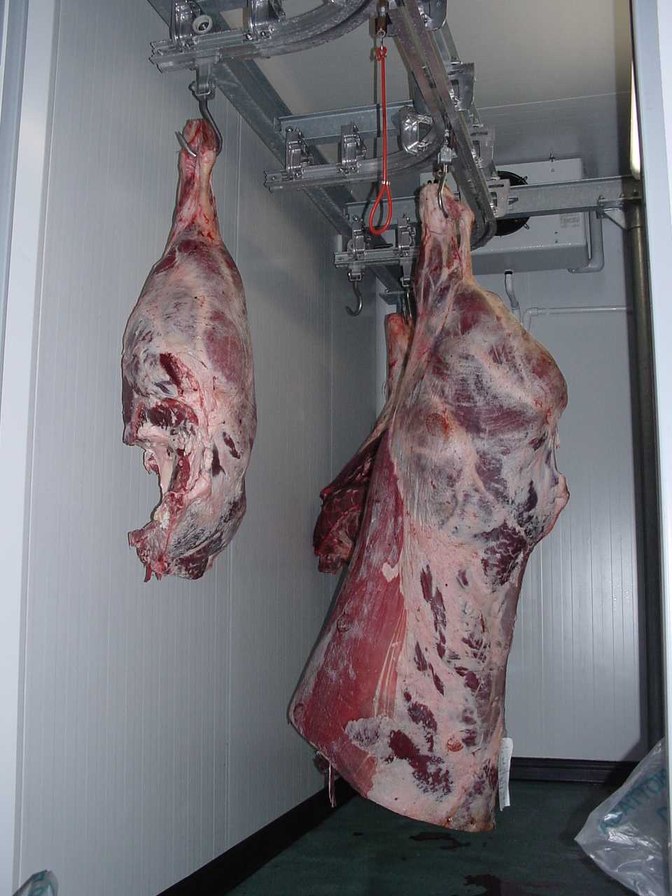 L'Algérie importera bien de la viande indienne