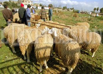 Le ministère prend le 