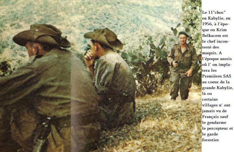 ثورة التحرير الكبرى عام 1954