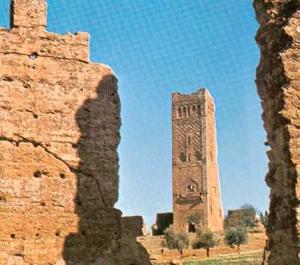 جامع المنصورة الأعظم