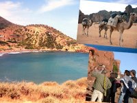 Booster la destination locale et attirer les touristes étrangers Tourisme en Algérie - Office national du tourisme (ONT)