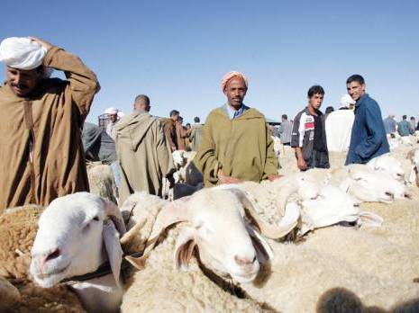 Achète-moi un mouton Aïd